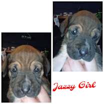 Thumbnail photo of Jazzy Girl #3