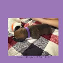 Thumbnail photo of Jazzy Girl #4