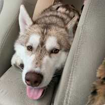 Thumbnail photo of Maverick #1