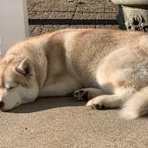 Thumbnail photo of Maverick #2