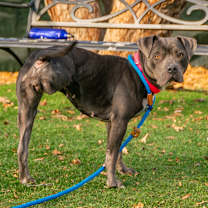 Thumbnail photo of Sundae #2