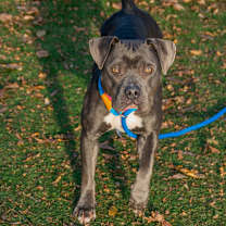 Thumbnail photo of Sundae #3