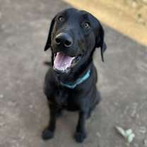 Thumbnail photo of Deuce  #1