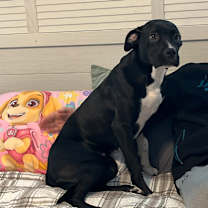 Thumbnail photo of Storie #3