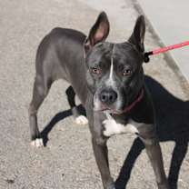 Thumbnail photo of Eloise #2