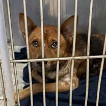 Thumbnail photo of Bingo  #2