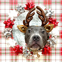 Thumbnail photo of Willa Bleu #2