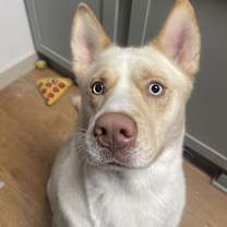 Thumbnail photo of Max #1