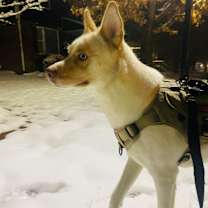 Thumbnail photo of Max #2