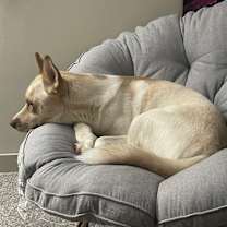 Thumbnail photo of Max #3