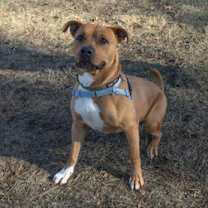 Thumbnail photo of Nicolas Cage #2