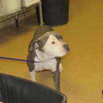 Thumbnail photo of Gwen #1