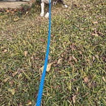 Thumbnail photo of Gwen #2