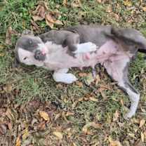 Thumbnail photo of Gwen #3