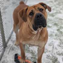 Thumbnail photo of Athena #1