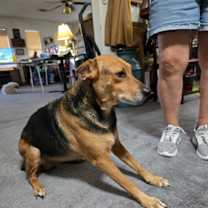 Thumbnail photo of Princess #3