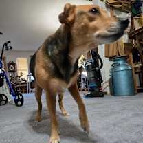 Thumbnail photo of Princess #4