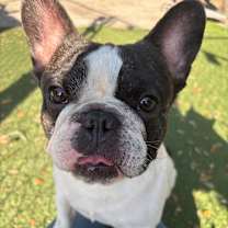 Thumbnail photo of Sponge Bob Square Pants #1