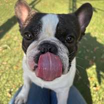 Thumbnail photo of Sponge Bob Square Pants #2