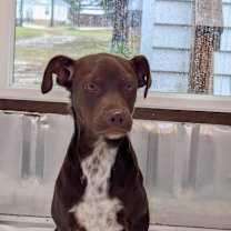 Thumbnail photo of Mac #1