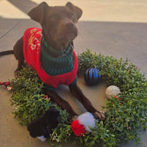 Thumbnail photo of Mac #2