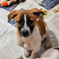 Thumbnail photo of Elowen LB #3