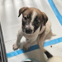 Thumbnail photo of Elowen LB #2