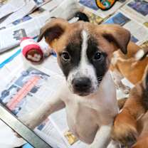 Thumbnail photo of Astrid LB #4