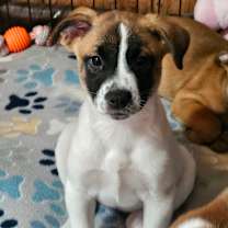 Thumbnail photo of Astrid LB #1