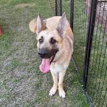 Thumbnail photo of Chip #4