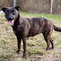 Thumbnail photo of Liberty #2