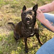 Thumbnail photo of Liberty #4