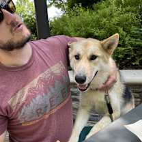 Thumbnail photo of Sansa #3