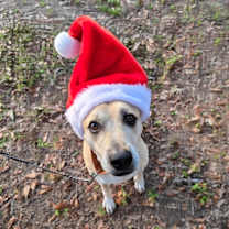 Thumbnail photo of Ella #4