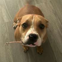 Thumbnail photo of Darla #3