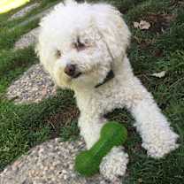 Thumbnail photo of George #4