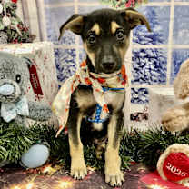 Thumbnail photo of Nick #3