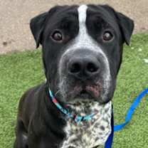 Thumbnail photo of Soul #2