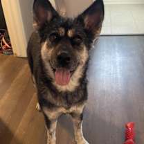 Thumbnail photo of Ella #2