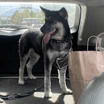 Thumbnail photo of Ella #3