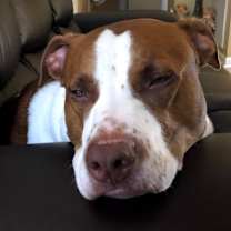 Thumbnail photo of Kai #3