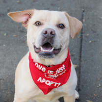 Thumbnail photo of JANIE #1