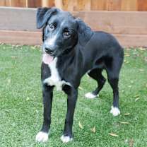 Thumbnail photo of MOLLY #3