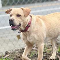 Thumbnail photo of JANIE #3