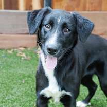 Thumbnail photo of MOLLY #4