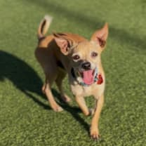 Thumbnail photo of Thor A2244853 #1