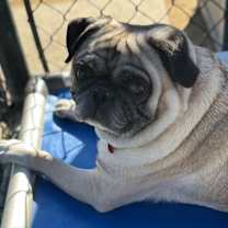 Thumbnail photo of Cooper A2246897 #1