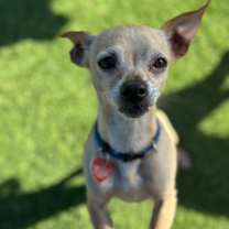 Thumbnail photo of Thor A2244853 #2