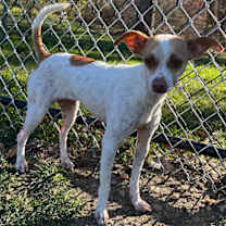 Thumbnail photo of Penny #3