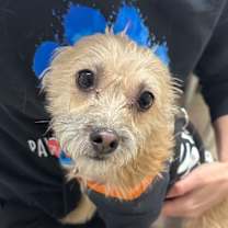 Thumbnail photo of Max A2247467 #1